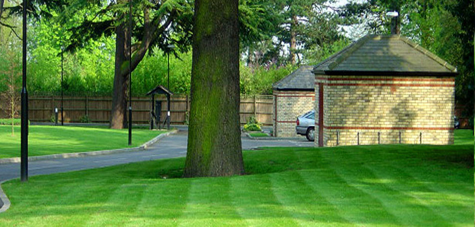 Good maintenance says something .....