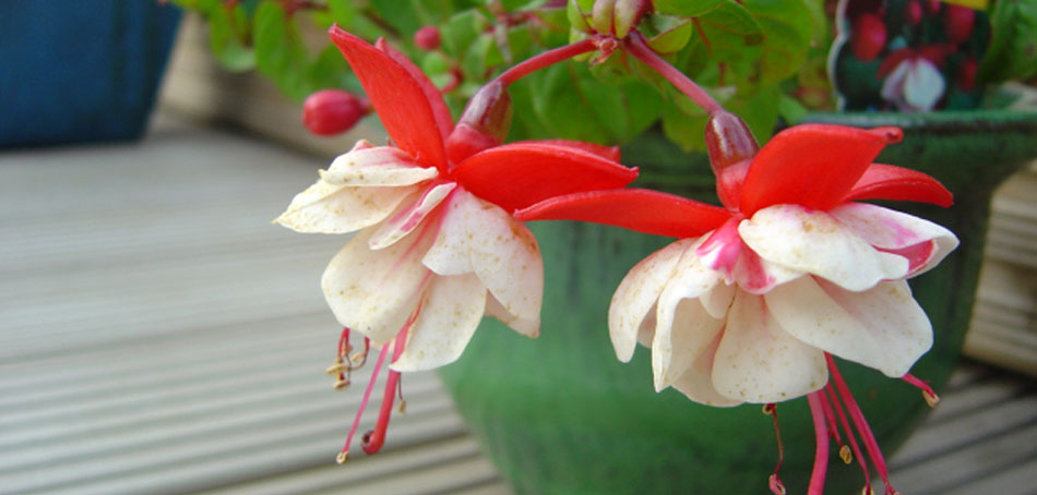 Meeting Nature Halfway